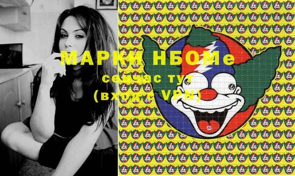 ПСИЛОЦИБИНОВЫЕ ГРИБЫ Инта