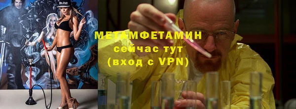 ПСИЛОЦИБИНОВЫЕ ГРИБЫ Инта