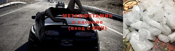 ПСИЛОЦИБИНОВЫЕ ГРИБЫ Инта
