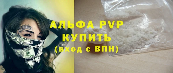 ПСИЛОЦИБИНОВЫЕ ГРИБЫ Инта