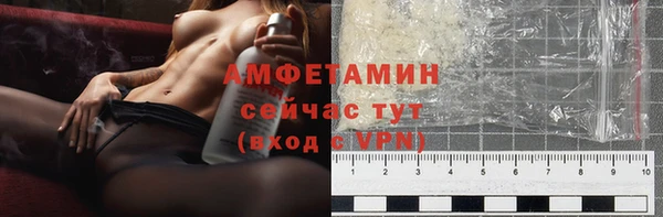ПСИЛОЦИБИНОВЫЕ ГРИБЫ Инта