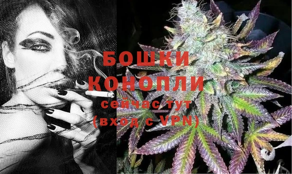ПСИЛОЦИБИНОВЫЕ ГРИБЫ Инта