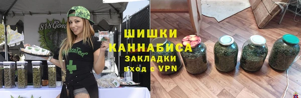 ПСИЛОЦИБИНОВЫЕ ГРИБЫ Инсар