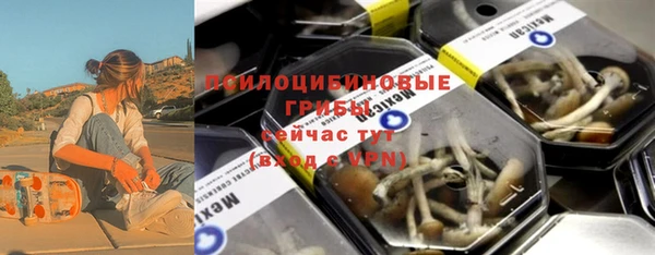 ПСИЛОЦИБИНОВЫЕ ГРИБЫ Инта